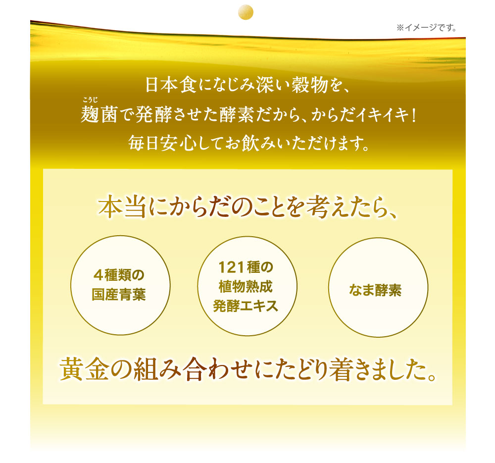 本当にからだのことを考えたら､黄金の組み合わせにたどり着きました｡