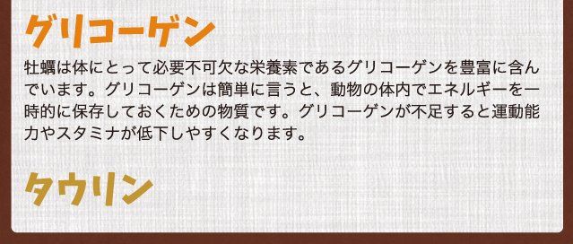 グリコーゲンやタウリンも含まれています。