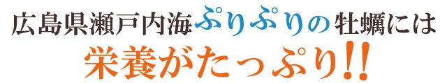 広島県瀬戸内海ぷりぷりの牡蠣には栄養がたっぷり！