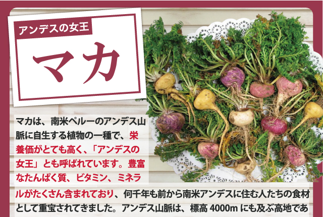 南米ペルー産のマカを配合しています。