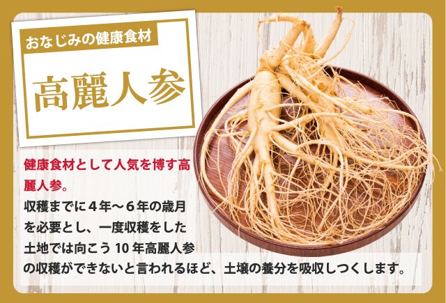 亜鉛サプリメント・牡蠣のチカラαには、高麗人参も配合されています。